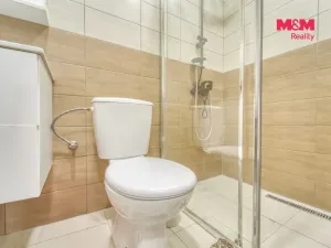 Prodej rodinného domu, Chotěšov, Starý mlýn, 353 m2