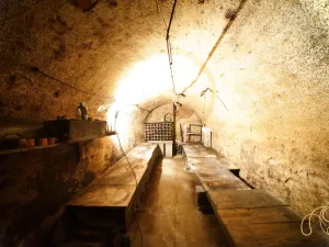 Prodej pozemku pro bydlení, Valtice - Úvaly, 2562 m2