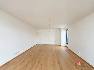 Prodej bytu 2+kk, Plzeň - Jižní Předměstí, Železná, 59 m2