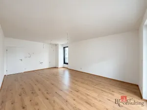 Prodej bytu 2+kk, Plzeň - Jižní Předměstí, Železná, 59 m2