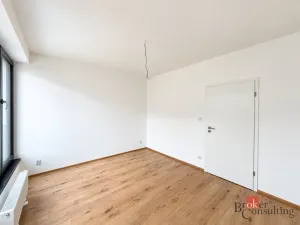 Prodej bytu 2+kk, Plzeň - Jižní Předměstí, Železná, 59 m2