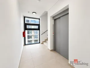 Prodej bytu 2+kk, Plzeň - Jižní Předměstí, Železná, 59 m2