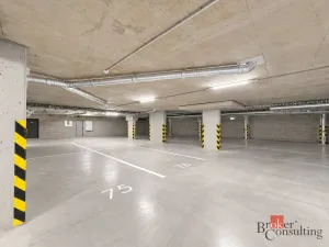 Prodej bytu 2+kk, Plzeň - Jižní Předměstí, Železná, 59 m2