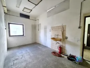 Prodej výrobních prostor, Stříbro - Těchlovice, 320 m2