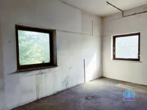 Prodej výrobních prostor, Stříbro - Těchlovice, 320 m2