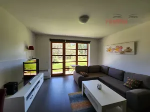 Prodej bytu 1+kk, Říčky v Orlických horách, 55 m2