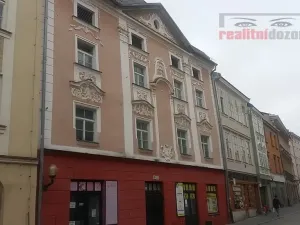 Prodej domu, Jihlava, Palackého, 490 m2