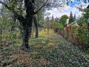 Prodej pozemku pro bydlení, Brno, Šaumannova, 533 m2