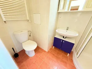 Pronájem bytu 1+kk, Praha - Nusle, Bartoškova, 33 m2