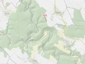 Dražba lesa, Ketkovice, 1686 m2