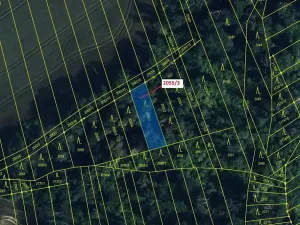 Dražba lesa, Pavlovice u Přerova, 449 m2