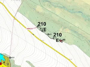 Dražba lesa, Oslavany, 113 m2