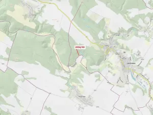Dražba lesa, Oslavany, 80 m2