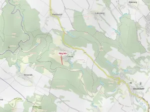 Dražba lesa, Čučice, 103 m2