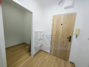 Pronájem bytu 1+1, České Budějovice, Budivojova, 49 m2