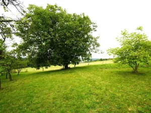 Prodej rodinného domu, Fulnek, 220 m2