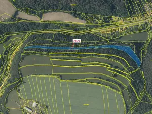 Dražba lesa, Lašovice, 10260 m2