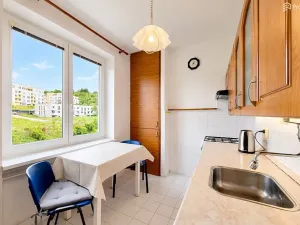 Prodej bytu 2+1, Brno, Došlíkova, 52 m2