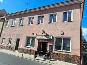 Pronájem bytu 1+1, Žatec, Svatováclavská, 40 m2