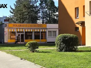 Prodej bytu 1+1, České Budějovice - České Budějovice 2, Vodňanská, 44 m2