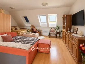 Prodej bytu 1+kk, Znojmo - Oblekovice, Oblekovická, 43 m2