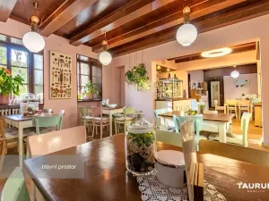 Prodej restaurace, Plzeň - Vnitřní Město, Pražská, 133 m2