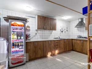 Prodej restaurace, Plzeň - Vnitřní Město, Pražská, 133 m2