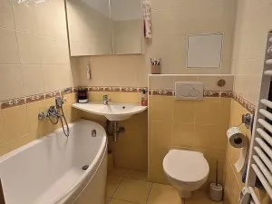 Prodej bytu 1+1, Dobříš, Březová, 31 m2