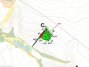 Dražba lesa, Želetice, 1391 m2