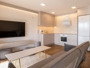 Pronájem bytu 2+kk, Soběšovice, 84 m2