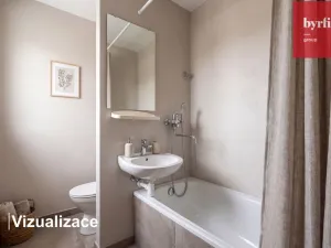 Prodej bytu 1+1, Otrokovice, Školní, 30 m2