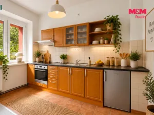 Prodej bytu 2+kk, Louny, 47 m2
