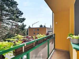 Prodej bytu 3+1, Brno, Gabriely Preissové, 70 m2