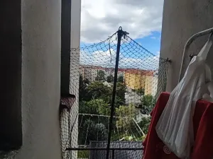 Pronájem bytu 2+kk, Praha - Žižkov, Ambrožova, 44 m2