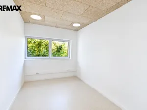 Pronájem kanceláře, Hradec Králové - Pražské Předměstí, Veverkova, 110 m2