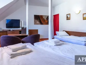 Prodej ubytování, Luhačovice, Masarykova, 420 m2