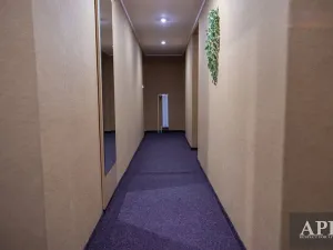 Prodej apartmánu, Luhačovice, Masarykova, 420 m2