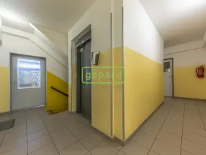 Pronájem bytu 3+kk, Praha, Řešovská, 56 m2