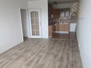 Pronájem bytu 2+1, Bílina - Pražské Předměstí, Bezejmenná, 53 m2