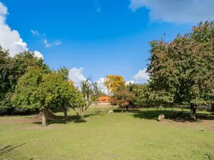 Prodej rodinného domu, Chlumec nad Cidlinou, 700 m2