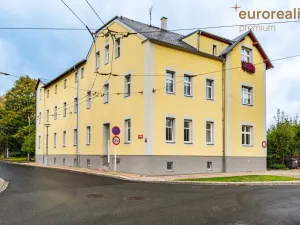 Prodej bytu 1+kk, Mariánské Lázně, Žižkova, 25 m2