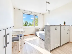 Prodej bytu 1+kk, Ústí nad Labem - Ústí nad Labem-centrum, SNP, 21 m2