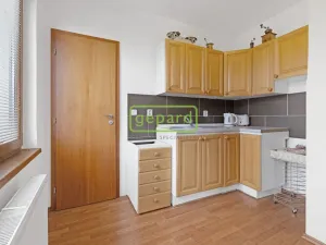 Prodej vícegeneračního domu, Přelouč, Na Vyšehradě, 353 m2