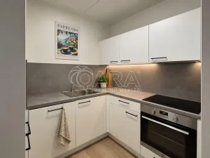 Pronájem bytu 2+kk, Praha - Hloubětín, Kolbenova, 46 m2