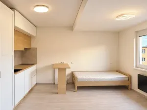 Pronájem bytu 1+kk, Děčín, Liliová, 21 m2