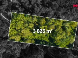 Prodej pozemku pro bydlení, Hradištko, 3825 m2