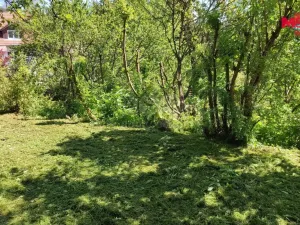 Prodej pozemku, Zádub-Závišín - Milhostov, 482 m2