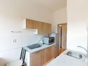 Pronájem bytu 2+1, Brno, Náplavka, 48 m2