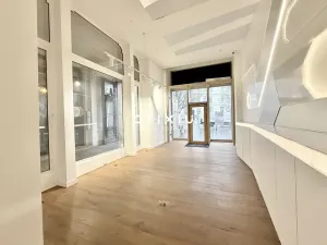 Pronájem obchodního prostoru, Brno, náměstí Svobody, 120 m2