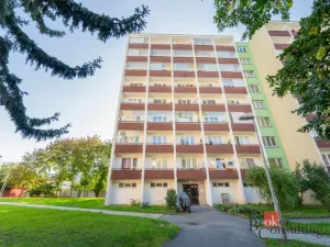 Prodej bytu 2+1, Mladá Boleslav - Mladá Boleslav II, Palackého, 64 m2